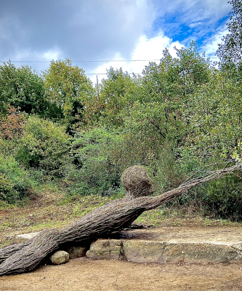 La creazione di Riconnessione per Green Art Connection 2025